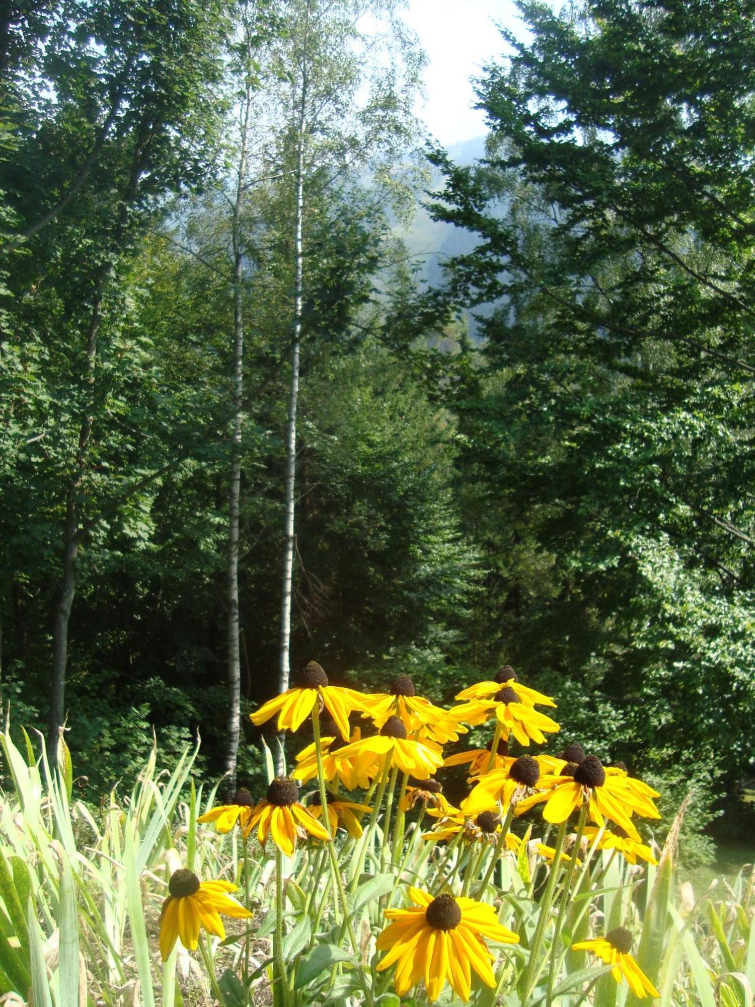 Semmering Villa Sonnenschein Екстериор снимка